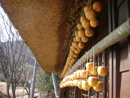 富士山下别致的茅屋小村庄——根场