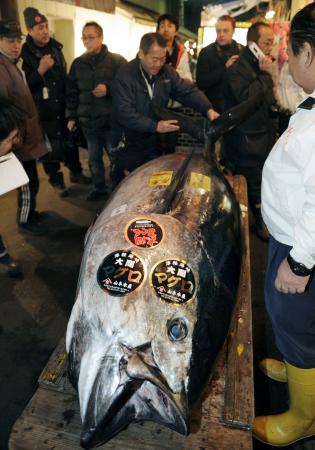 日本一蓝鳍金枪鱼拍出5649万日元天价 刷新历史记录