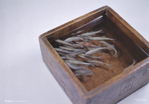 日本艺术家深堀隆介创作树脂金鱼画 宛如真鱼震撼全球