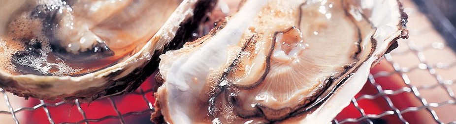松岛牡蛎