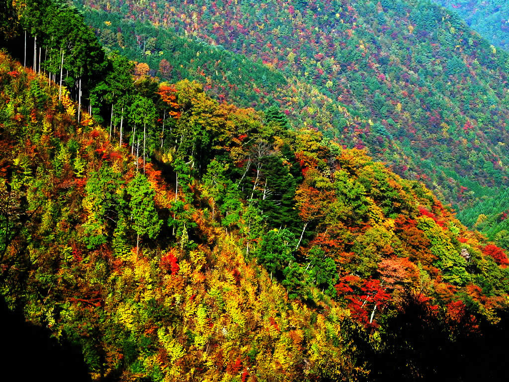 高野龙神盘山公路