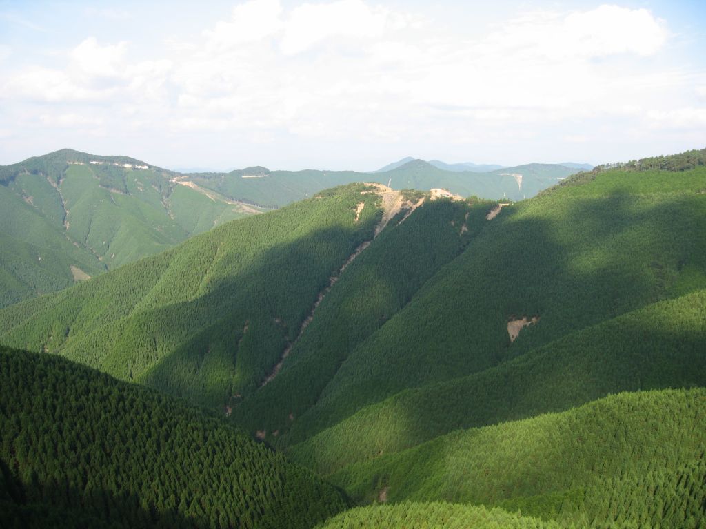 高野龙神盘山公路