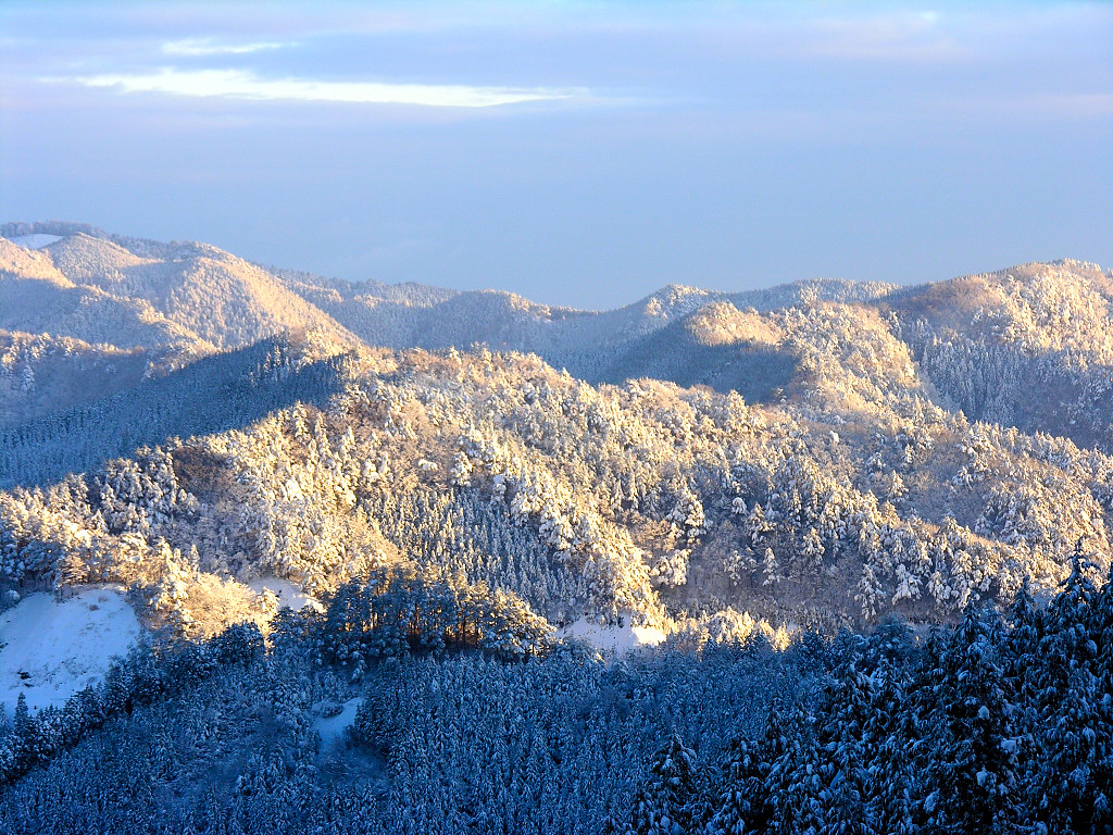 高野龙神盘山公路
