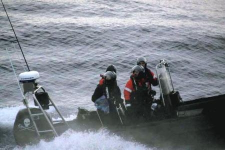 南极反捕鲸团体撒绳索扔烟雾弹阻止日本船只捕鲸
