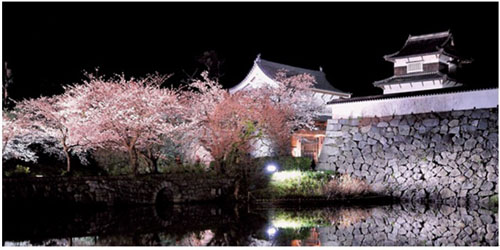 日本福冈城3月末将举办樱花节
