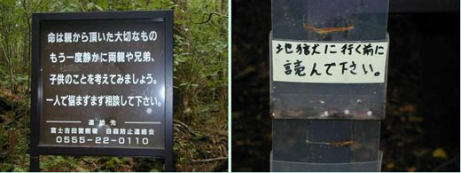 日本自杀森林——青木原树海