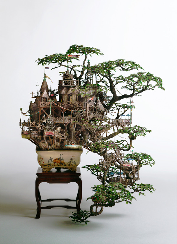 日本盆栽艺术家相羽高德的盆栽作品之美震惊世界！