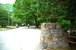 圆山公园