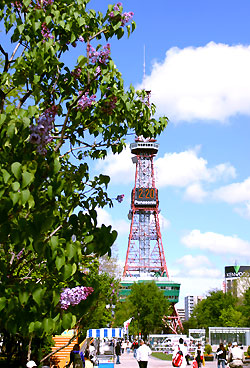 札幌紫丁香节