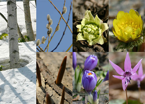 札幌3-4月节日活动