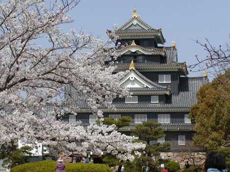 2012赏樱花期预测——冈山