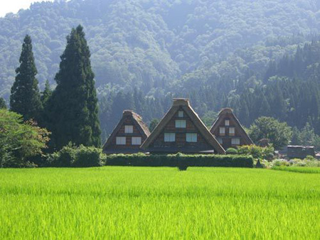 2012赏樱花期预测——岐阜