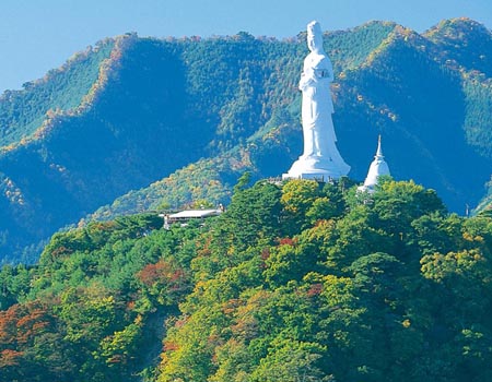 釜石市 日本通