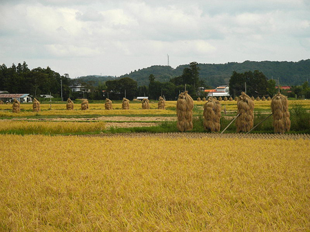 栗原市