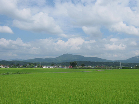 须贺川市