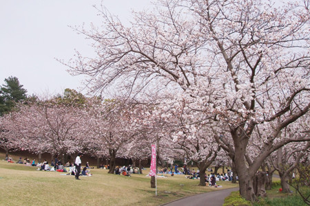 常总市