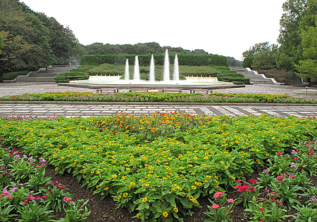 国营武藏丘陵森林公园