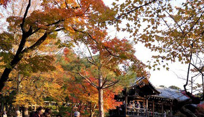 京都诗仙堂迷人庭院