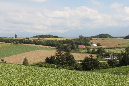 北海道自驾游民俗风情体验之旅