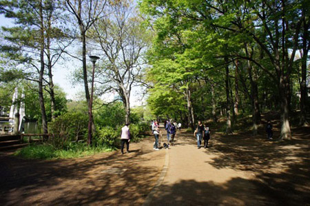石神井公园的绿色幸福