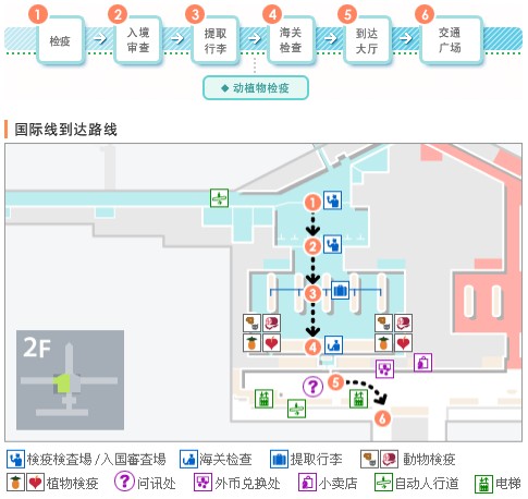 中部国际机场