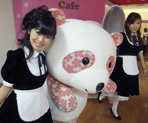 松坂屋上野店举行樱花熊猫节 熊猫咖啡厅迎客