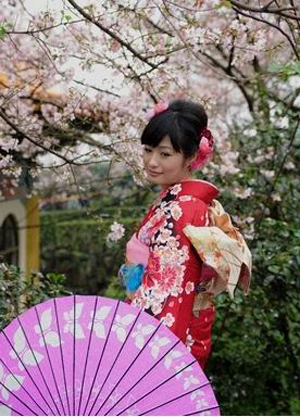 深入台湾人心的樱花及日本文化