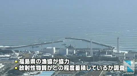东京电力福岛核电站周边首次展开海鱼辐射量调查