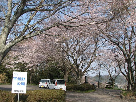 常陆大宫市