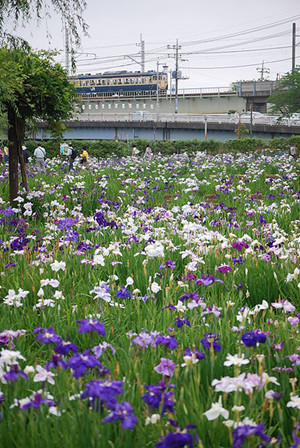 潮来市