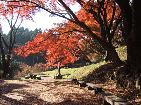 大田原市