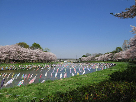 馆林市