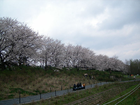 幸手市