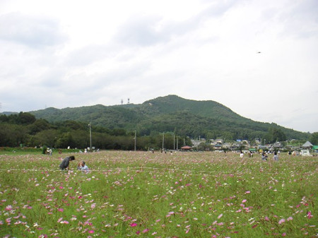 日高市