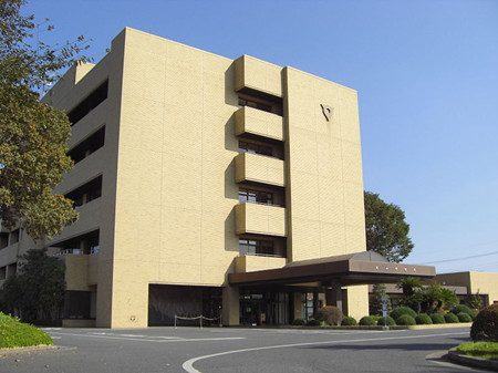 日高市
