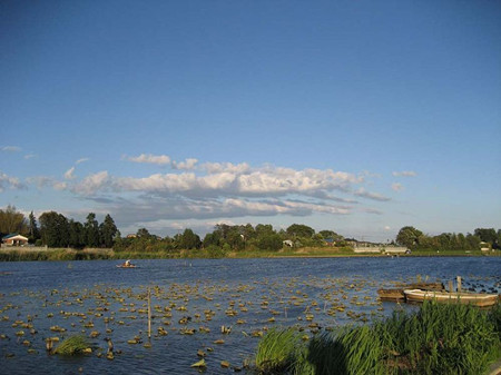 莲田市