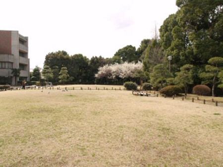 蕨市