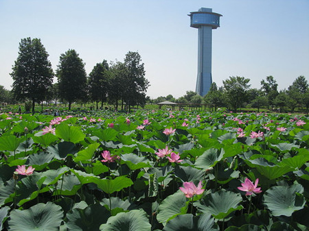 行田市