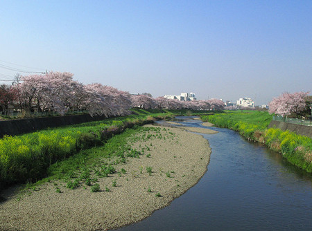 所泽市