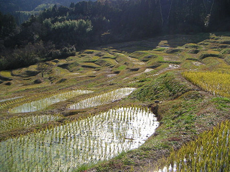 鸭川市