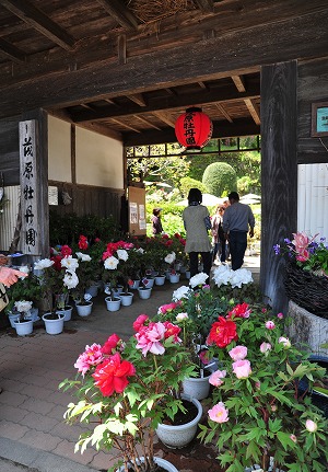 茂原市