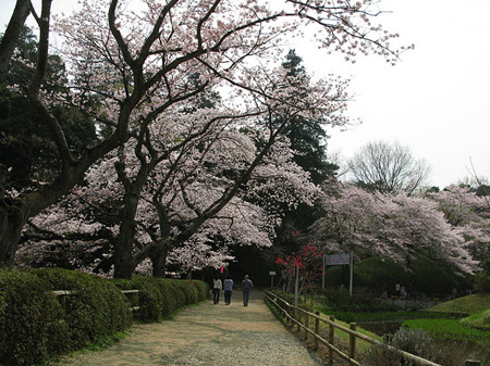 野田市