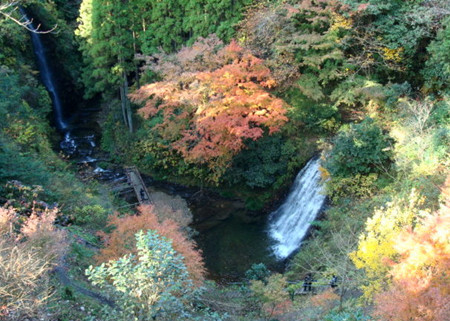 市原市