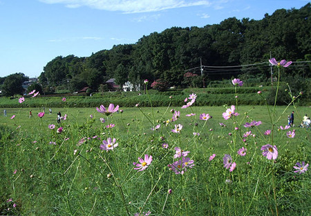 小金井市