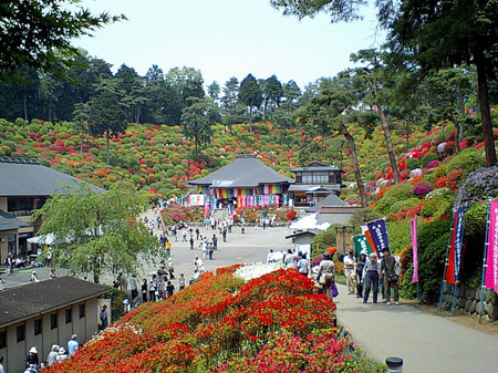 青梅市