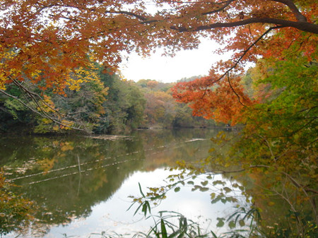 秦野市