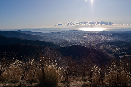 秦野市