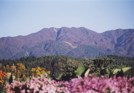 阿贺野市