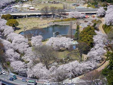 前桥公园-关东地区_东京都_千叶县_埼玉县_神奈川县_群马县_栃木县