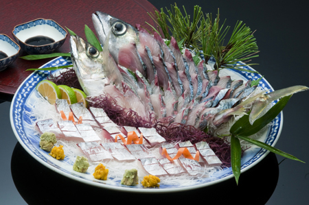 关竹荚鱼和关青花鱼